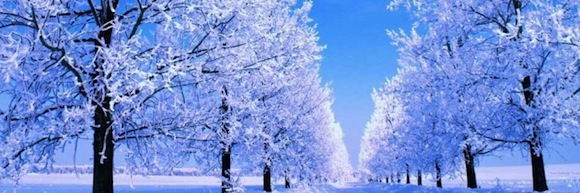 winter_bn-89563_630x210
