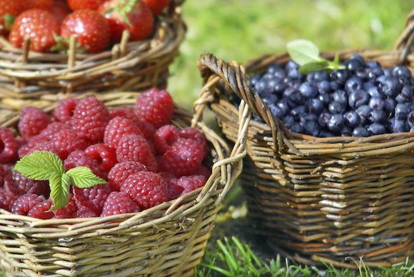 berries