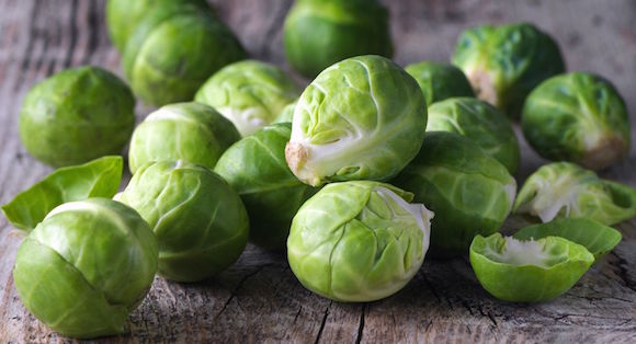 Brussels sprouts cabbage