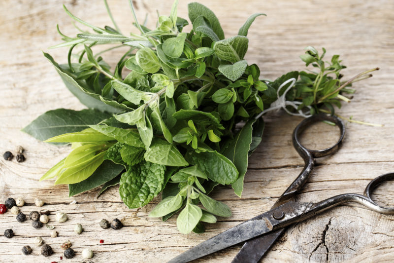 Bundle of organic Kitchen Herbs