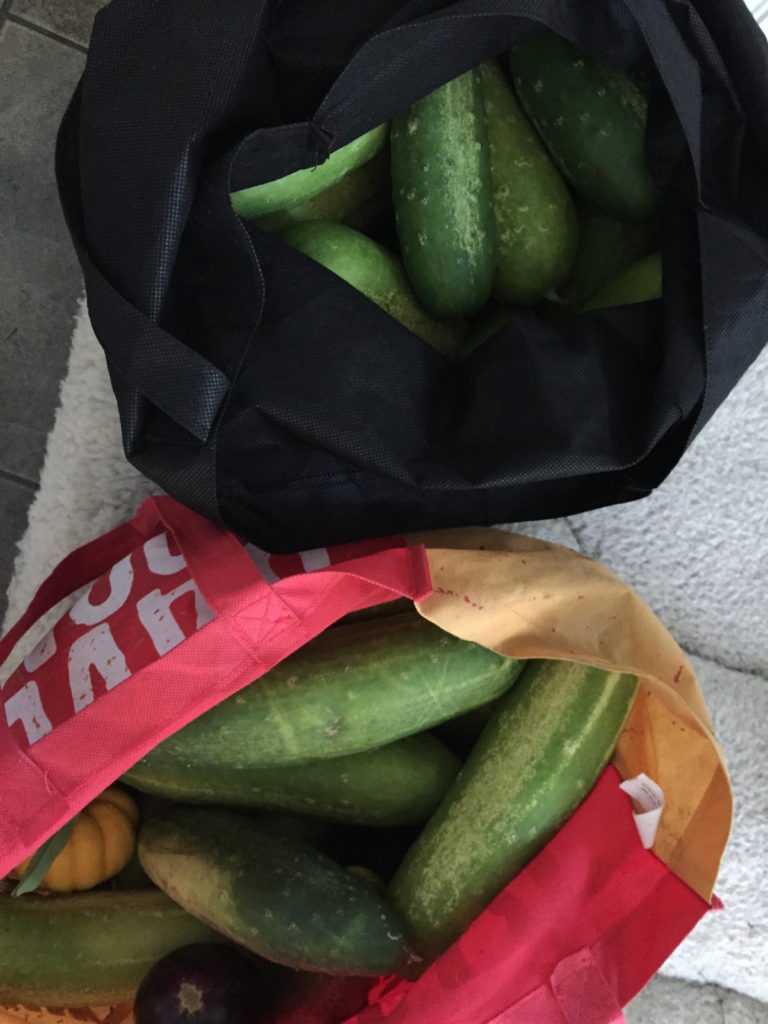 A couple of these guys found a new home in this recipe